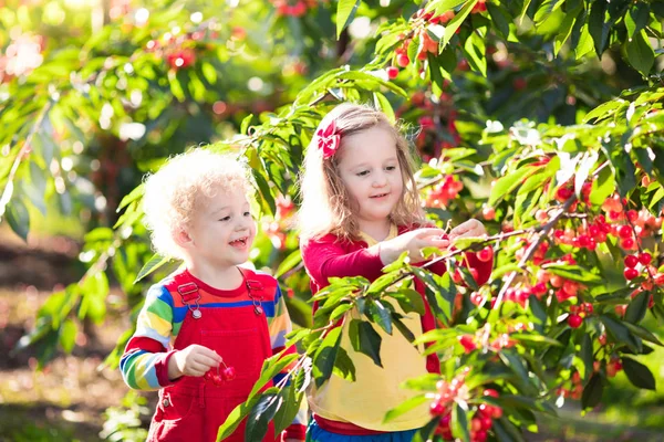 Dzieci czepiam ogrodem gospodarstwo owoców wiśni — Zdjęcie stockowe