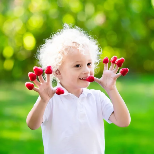 Malzeme çekme ve ahududu yaz aylarında yemek çocuk