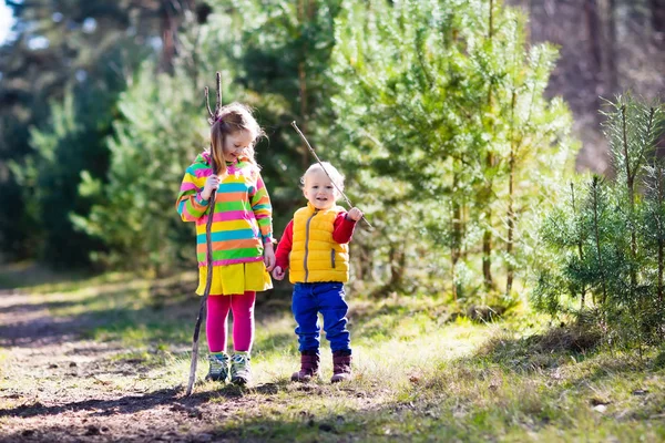 孩子们在秋天的树林徒步旅行 — 图库照片