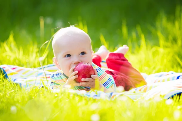 Baby boy with apple on family garden picnic