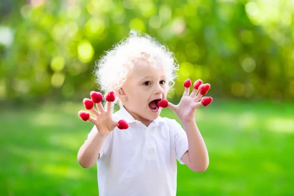 Criança pegar e comer framboesa no verão — Fotografia de Stock