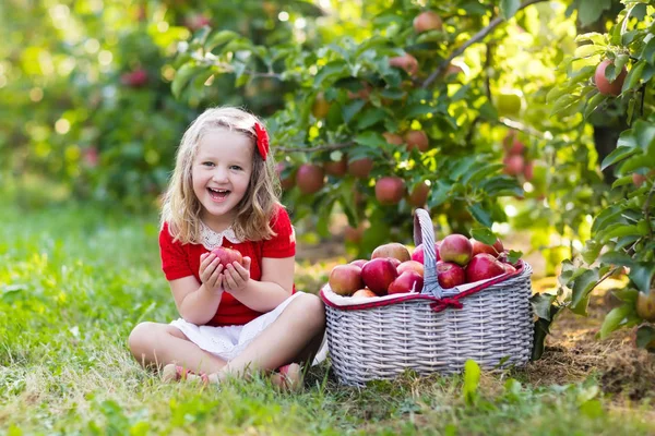 Gadis kecil memetik apel di kebun buah — Stok Foto