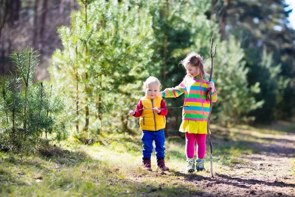 Kids hiking in autumn forest — Stock Photo, Image