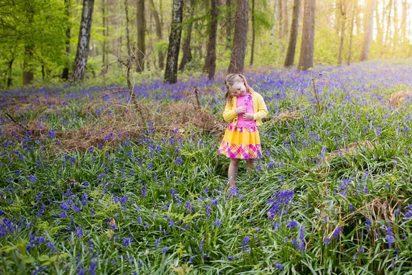 Child with bluebell flowers in spring forest — Stock Photo, Image