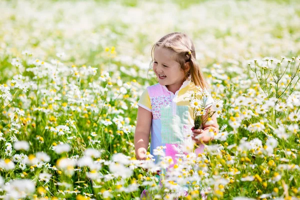 Malá holčička trhá květiny v oblasti daisy — Stock fotografie