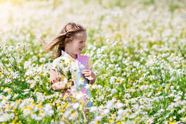 Девочка собирает цветы на поле ромашки — стоковое фото