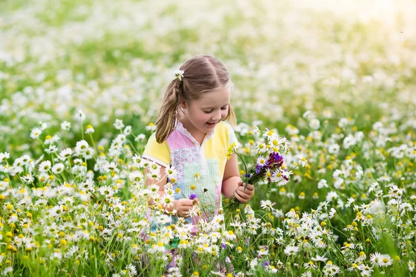 Malá holčička trhá květiny v oblasti daisy — Stock fotografie