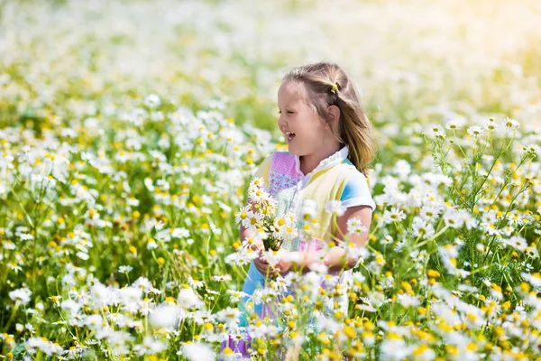 Niña recogiendo flores en el campo de margaritas — Foto de Stock