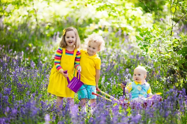 Gyerekek nyári bluebell virág erdőben — Stock Fotó