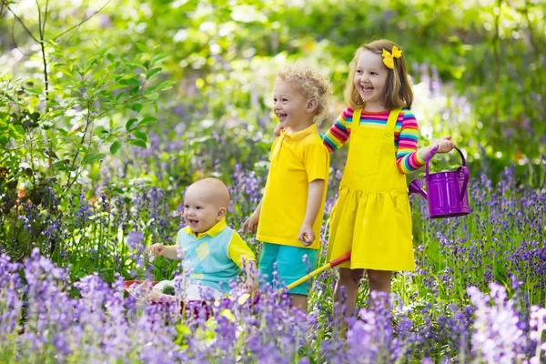 Enfants dans la forêt de fleurs Bluebell en été — Photo