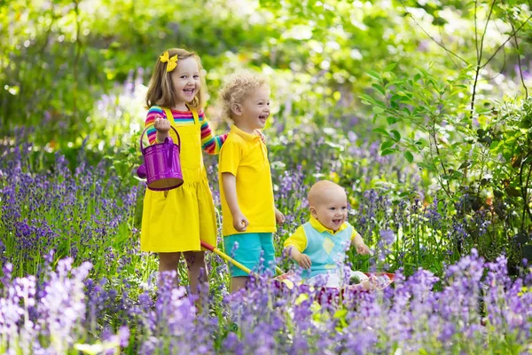 Kinderen in bluebell bloem bos in de zomer — Stockfoto