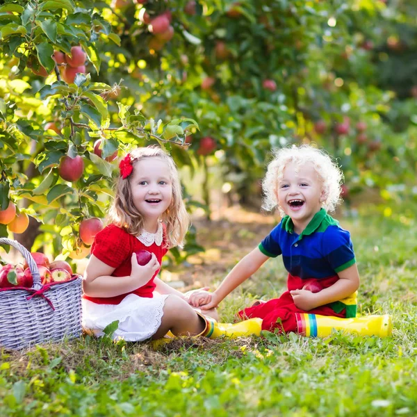 Enfants cueillant des pommes dans un jardin fruitier — Photo