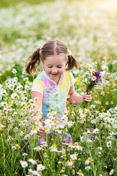 デイジー フィールドで花を摘む少女 — ストック写真