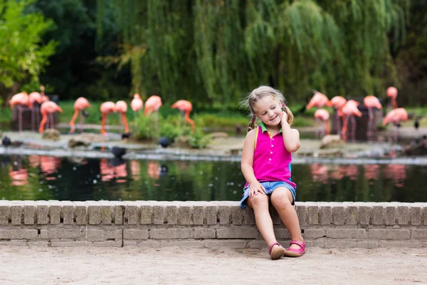 Child watching animals and birds at the zoo — Stock Photo, Image