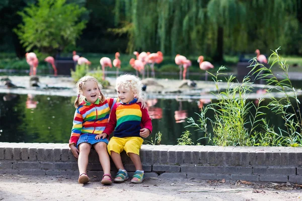 Barn titta på djur på zoo — Stockfoto