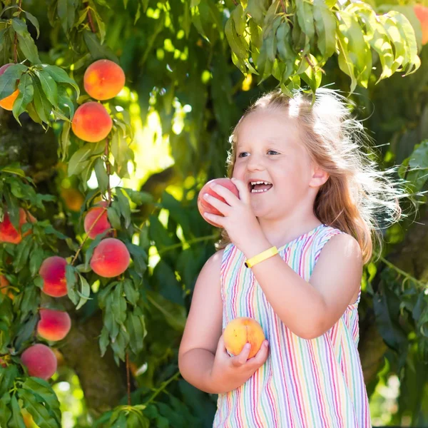 Malzeme çekme ve şeftali meyve ağacından yeme çocuk — Stok fotoğraf