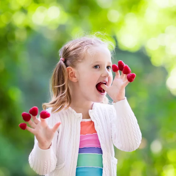 Child picking and eating raspberry in summer — Stock Photo, Image