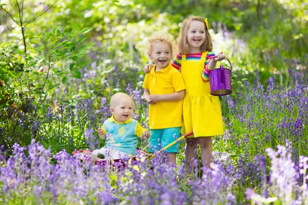 Niños en bosque de flores de arándano en verano — Foto de Stock