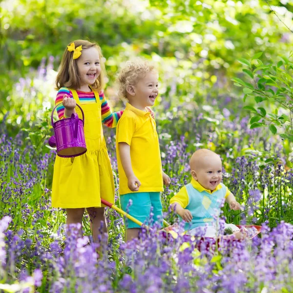 Kinder im Blauglockenblumenwald im Sommer — Stockfoto