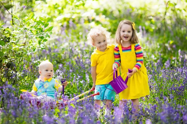 Dzieci w bluebell kwiat las w lecie — Zdjęcie stockowe