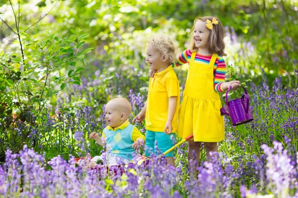 Barn i bluebell blomma skogen i sommar — Stockfoto