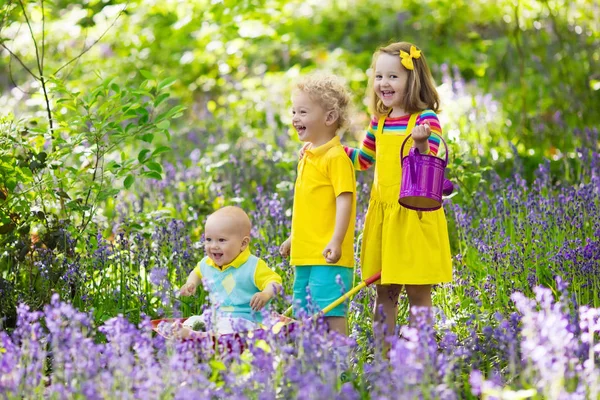 Kids in bluebell flower forest in summer — Stock Photo, Image