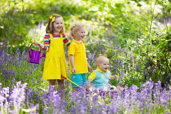 Kinder im Blauglockenblumenwald im Sommer — Stockfoto