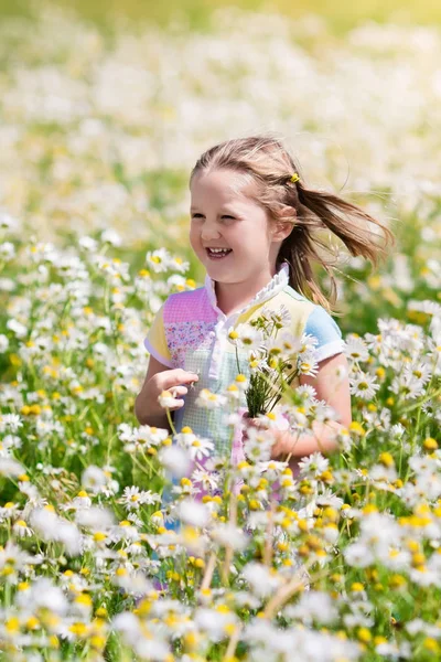 デイジー フィールドで花を摘む少女 — ストック写真