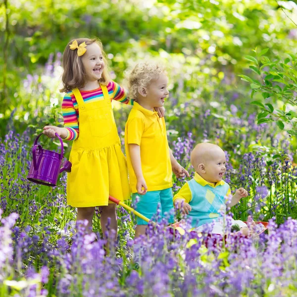 Dzieci w bluebell kwiat las w lecie — Zdjęcie stockowe