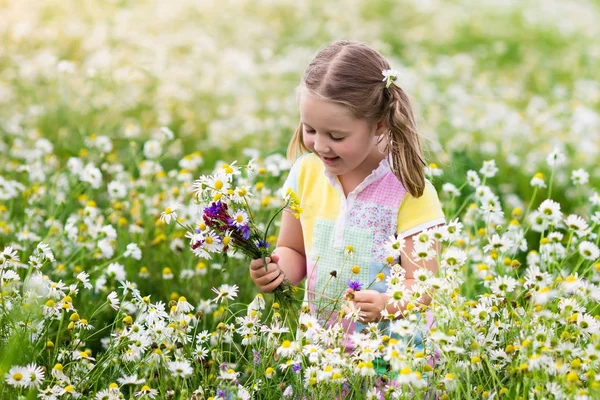 Kleines Mädchen pflückt Blumen im Gänseblümchenfeld — Stockfoto