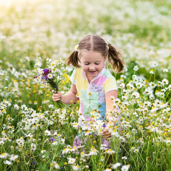 Niña recogiendo flores en el campo de margaritas — Foto de Stock