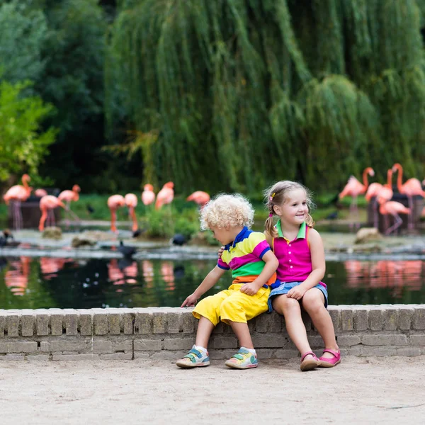 Niños observando animales en el zoológico — Foto de Stock