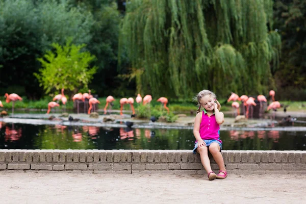 Kind beobachtet Tiere und Vögel im Zoo — Stockfoto