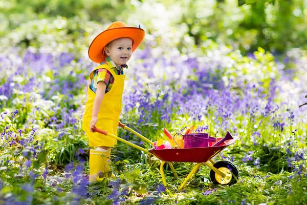Bluebell Bahçe çocuklarda — Stok fotoğraf