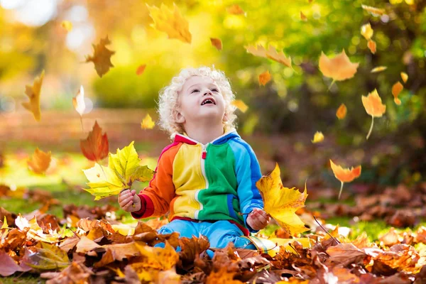 Ребенок в осеннем парке. Мальчик с осенними листьями . — стоковое фото