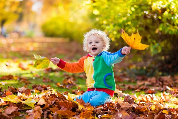 Dziecko w upadek park. Dziecko z jesieni pozostawia. — Zdjęcie stockowe