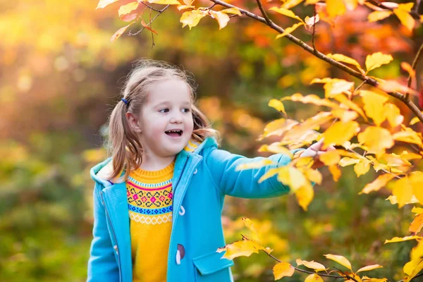Criança no parque de queda. Criança com Outono folhas. — Fotografia de Stock