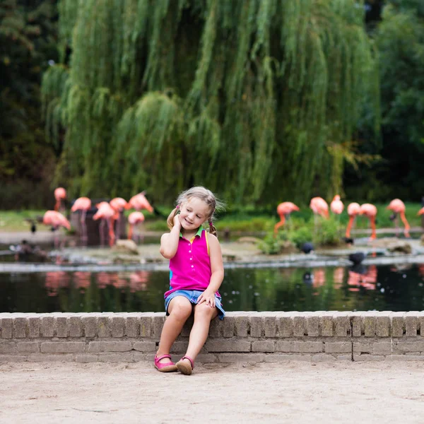 Dziecko oglądając zwierzęta i ptaki w zoo — Zdjęcie stockowe
