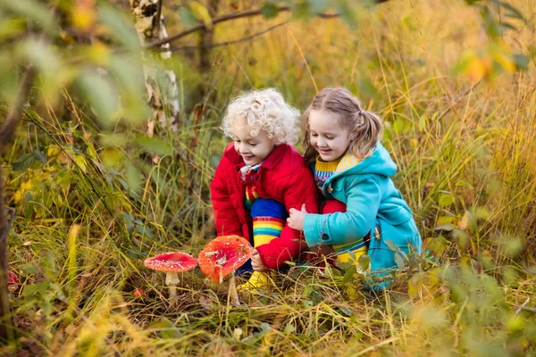 Niños jugando en el bosque de otoño —  Fotos de Stock