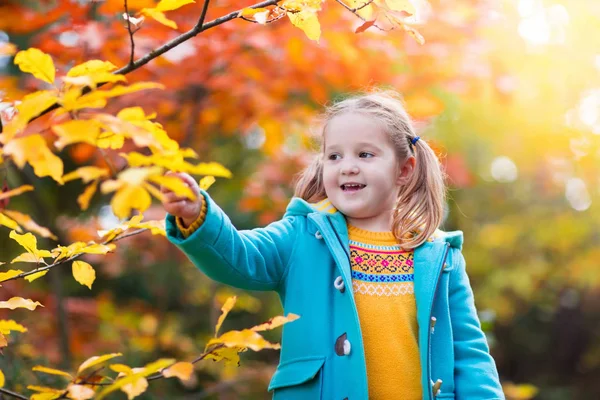 Child in fall park. Kid with autumn leaves. — Stock Photo, Image