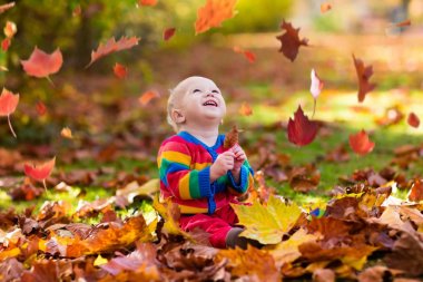 Çocuk sonbahar Park. Çocuk ile sonbahar yaprakları.