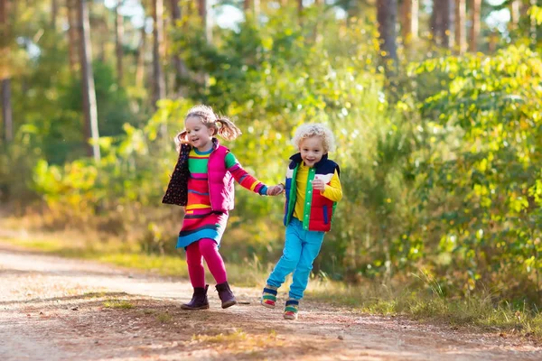 Kinderen spelen in de herfst park — Stockfoto