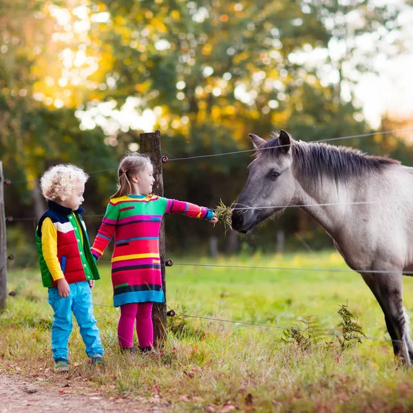 Crianças alimentando cavalo em uma fazenda — Fotografia de Stock