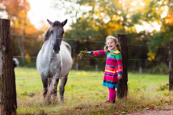 Liten flicka matar en häst — Stockfoto