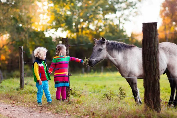 Niños alimentando a caballo en una granja —  Fotos de Stock