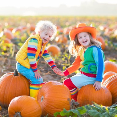 Çocuklar Halloween kabak yama üzerinde kabak toplama