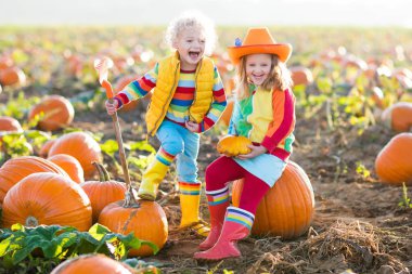 Çocuklar Halloween kabak yama üzerinde kabak toplama
