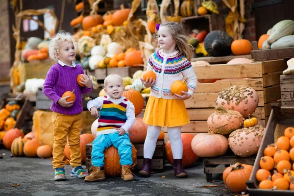 Kids having fun at pumpkin patch — Stock Photo, Image