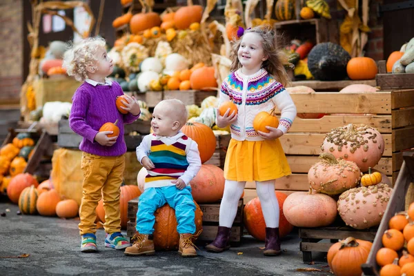 Çocuklar eğleniyor kabak yama
