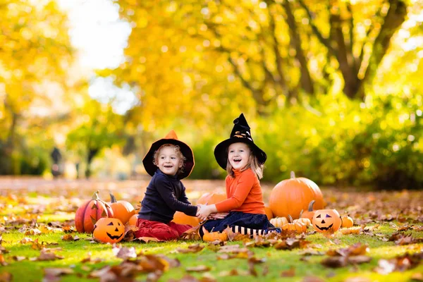 Cadılar Bayramı kostümleri kabaklar çocuklarla